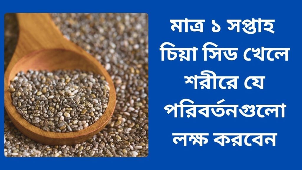 মাত্র ১ সপ্তাহ চিয়া সিড খেলে শরীরে যে পরিবর্তনগুলো লক্ষ করবেন